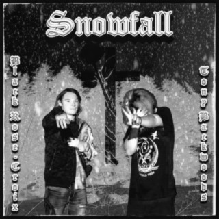 Snowfall