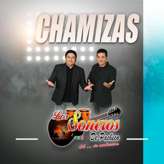 Chamizas