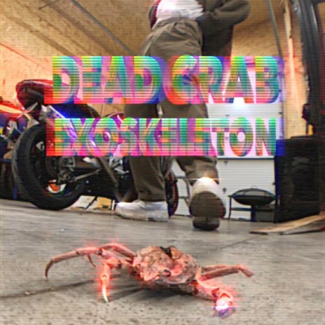 Dead Crab Exoskeleton