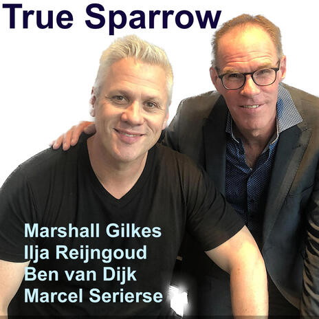 True Sparrow ft. Ben van Dijk, Marshall Gilkes & Marcel Serierse | Boomplay Music