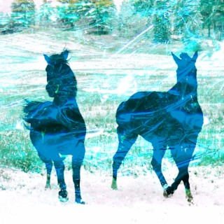 Horses of Chillwave