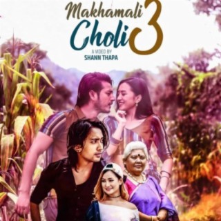 Makhamali Choli 3