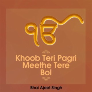 Khoob Teri Pagri Meethe Tere Bol