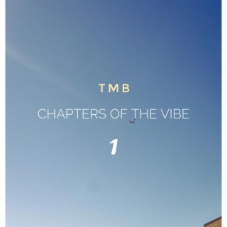 Chapters of the Vibe 1