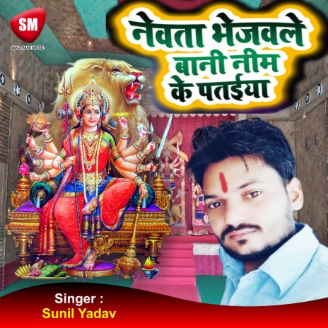 Newta Bhejwle bani Neem Ke Pataiya | Boomplay Music