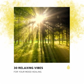 30 Relaxing Vibes for Your Mood Healing