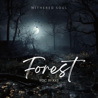 森林(Forest) ft. XXS lyrics | Boomplay Music