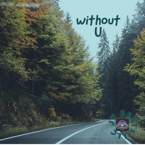 Without U | Boomplay Music