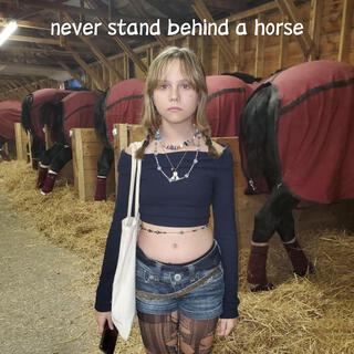 never stand behind a horse