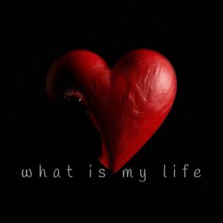 what is my life lyrics | Boomplay Music