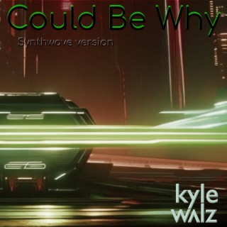 Could Be Why (Synthwave Version)