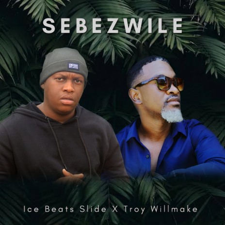 Sebezwile ft. Troy willmake | Boomplay Music