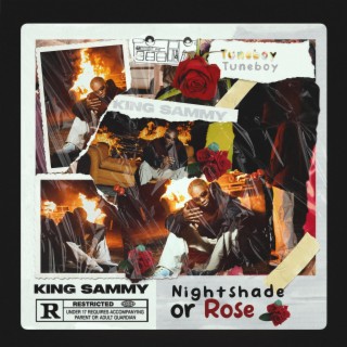 NightShade Or Rose