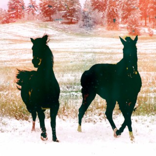 Horses of Chillwave