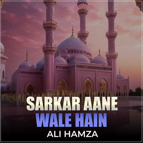 Sarkar Aane Wale Hain | Boomplay Music