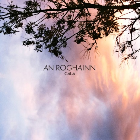 An Roghainn