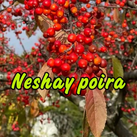 Neshay Poira | Boomplay Music