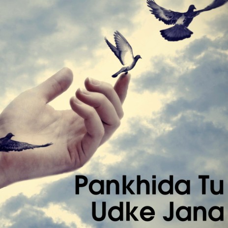 Pankhida Tu Udke Jana | Boomplay Music