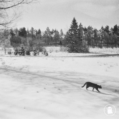 Snow Cat ft. darecloud | Boomplay Music