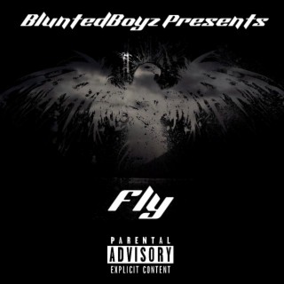 Fly