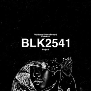 BLK2541 (Instrumentals)