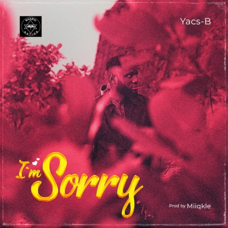 I'm Sorry | Boomplay Music