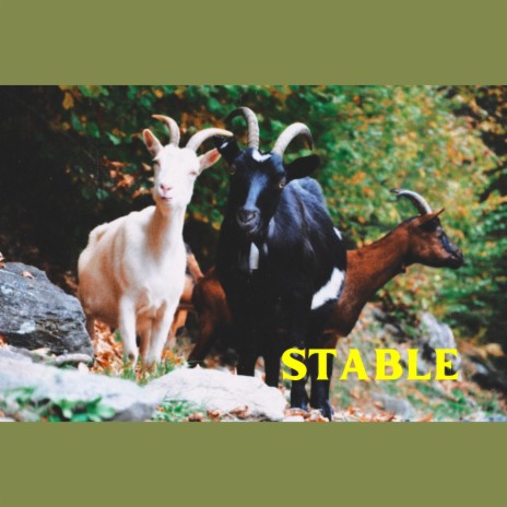 Stable ft. MDF3 & Maikeru | Boomplay Music
