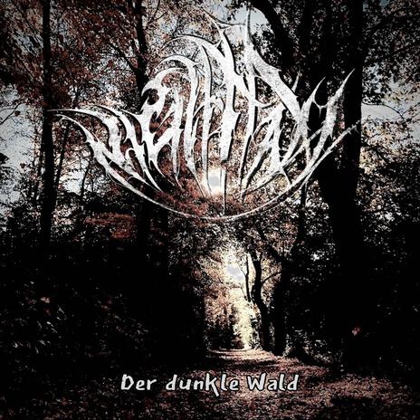 Der dunkle Wald | Boomplay Music