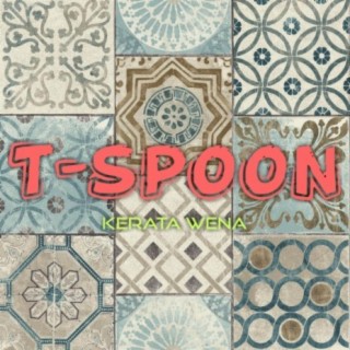 T-spoon