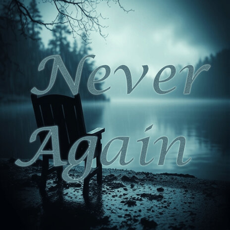 Never Again | Boomplay Music