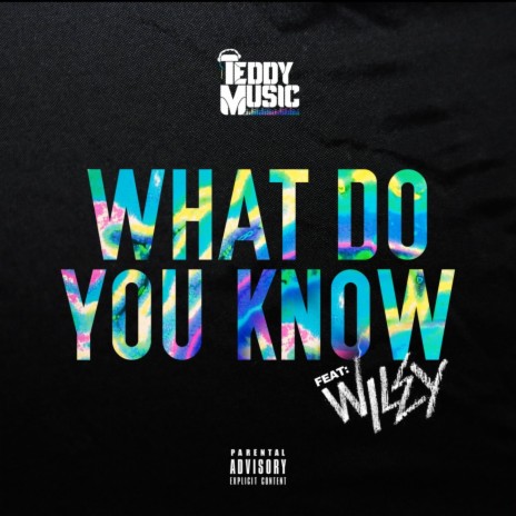 What Do You Know (Radio Edit) ft. Wiley | Boomplay Music