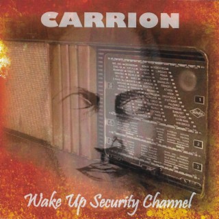Wake Up Security Channel