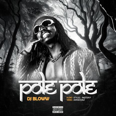 Pole Pole | Boomplay Music