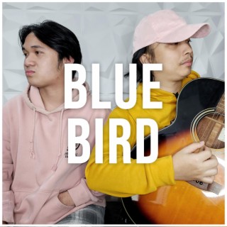 Blue Bird (Naruto Shippuden OP 3) (Acoustic Chill Version)