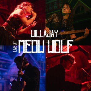 Willajay Live at Meow Wolf
