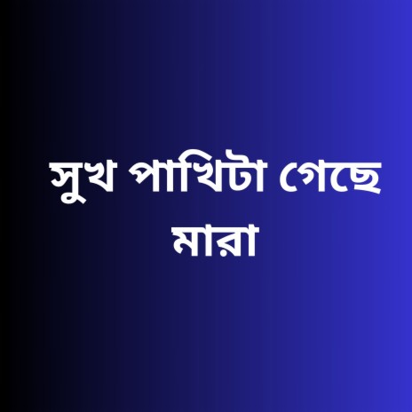 সুখ পাখিটা গেছে মারা | Boomplay Music