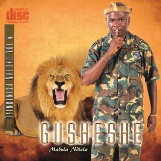 Gusheshe (mabula ndlela) vol 4