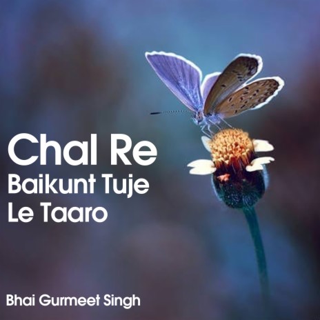 Chal Re Baikunt Tuje Le Taaro | Boomplay Music