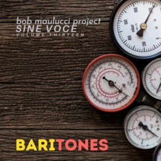 Sine Voce, Volume Thirteen: BariTONES