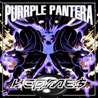 Purrple Pantera