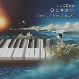 Ocean (Sea of Moog Mix)