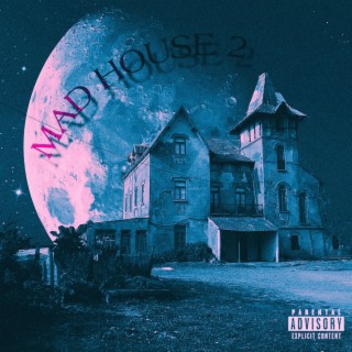 Mad House 2