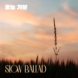 오늘기분 Slow Ballad (BGM)