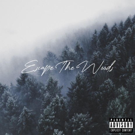 Escape The Woods | Boomplay Music