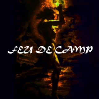 Feu de camp