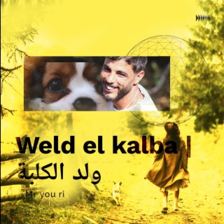 Weld al kaleb | ولد الكلبة