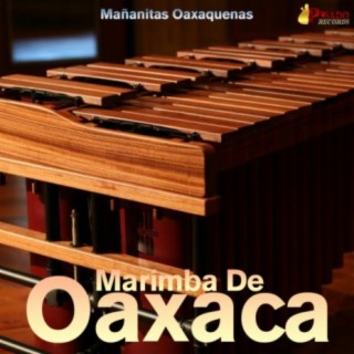 Marimba De Oaxaca