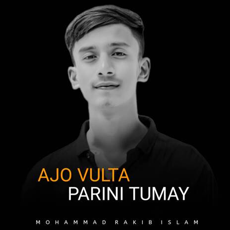 Ajo Vulta Parini Tumay