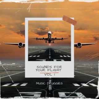 Sounds for your flight