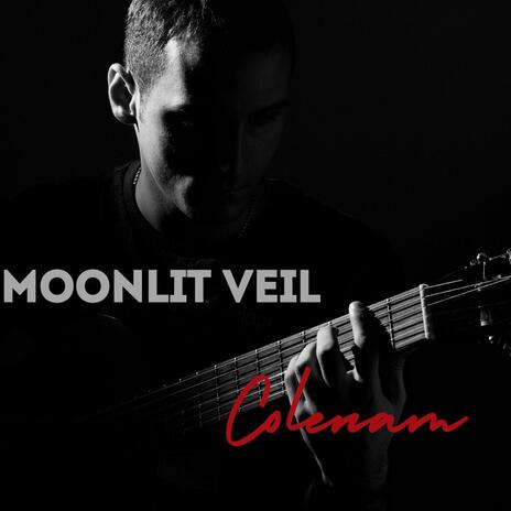 Moonlit Veil | Boomplay Music